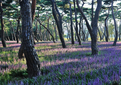 가을에 꼭 가봐야할 경주여행 BEST 5