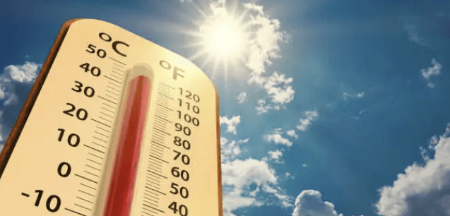  여름철 기분이 좋은 진짜 이유 - 비타민D 부족과 정신건강!