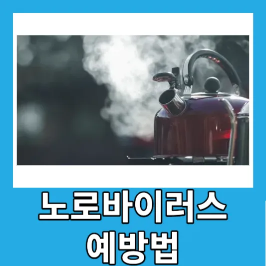 겨울 봄철 노로바이러스장염 증상 자가진단 예방 치료방법 잠복기