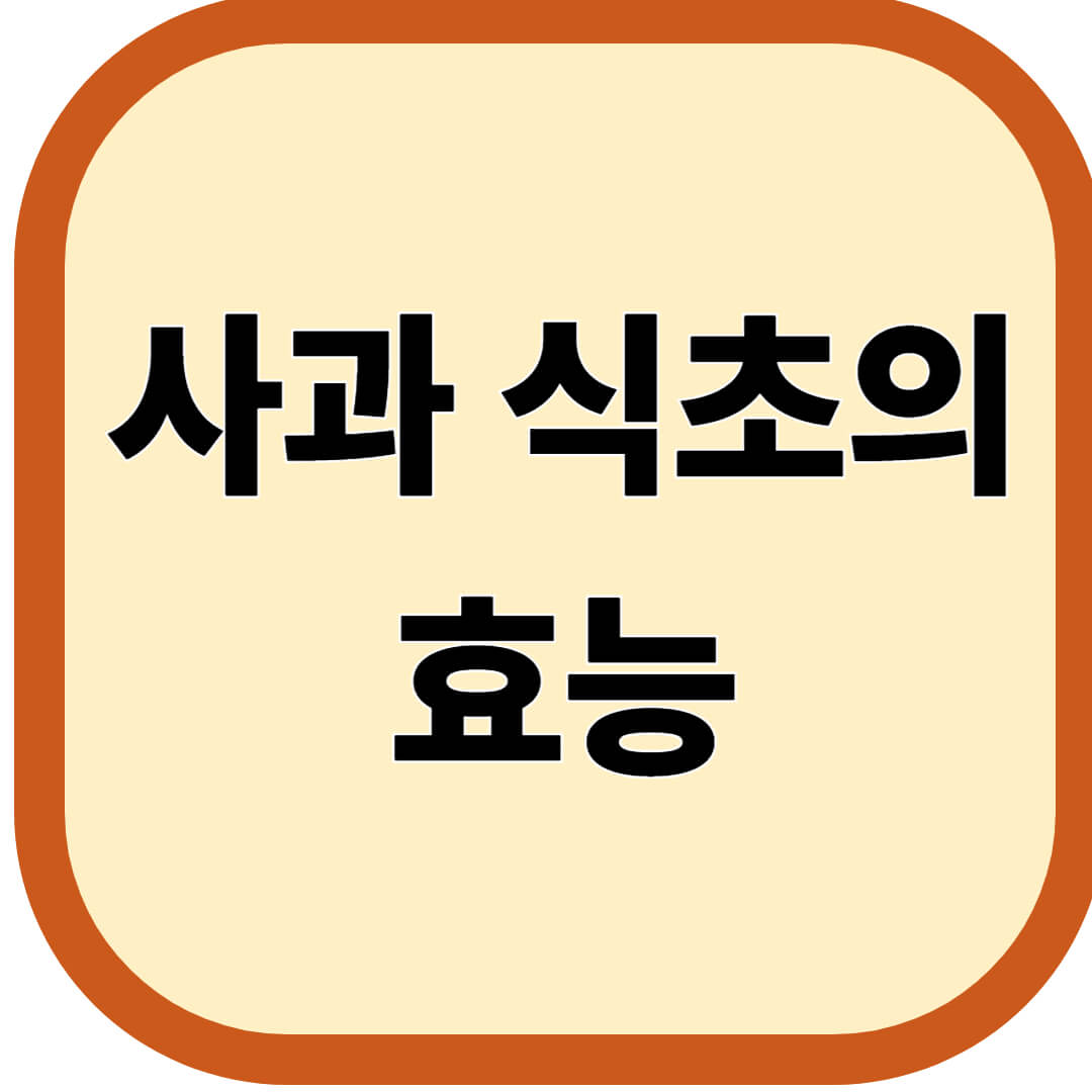 사과식초의 효능