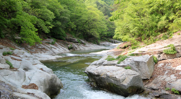 홍천 수타사계곡, 천년의 시간과 계곡물 소리에 쉬어가다