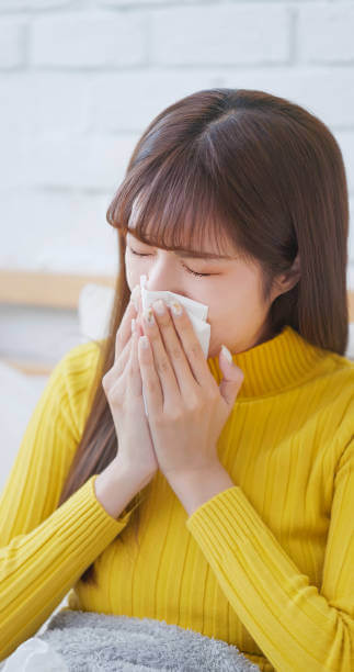 코 헐었을 때 대처법