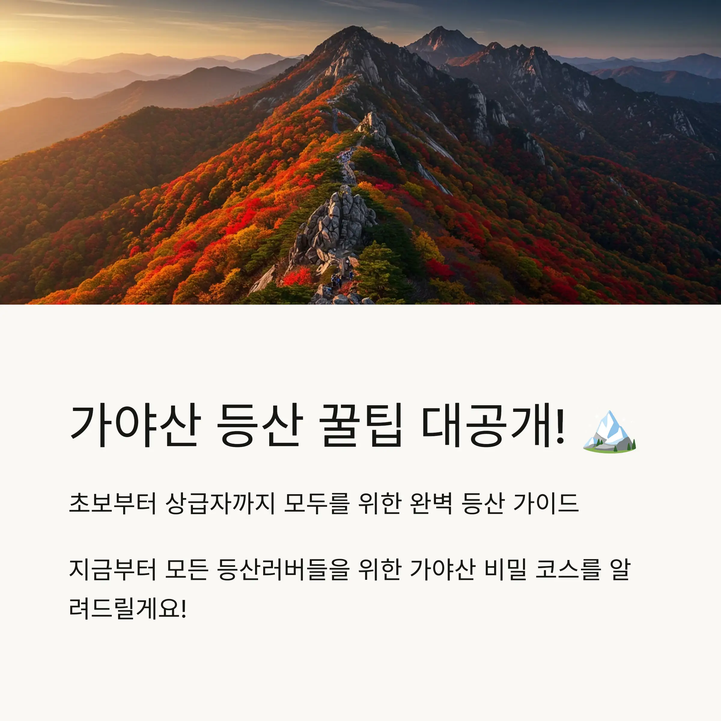📋 목차