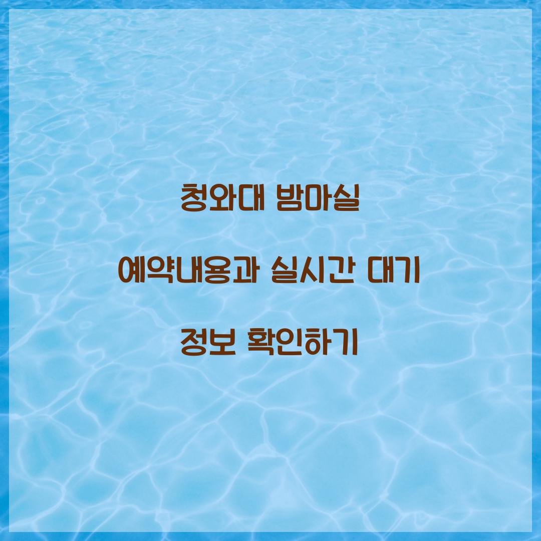 청와대 밤마실 예약내용