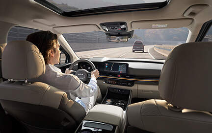 카니발 하이리무진 10