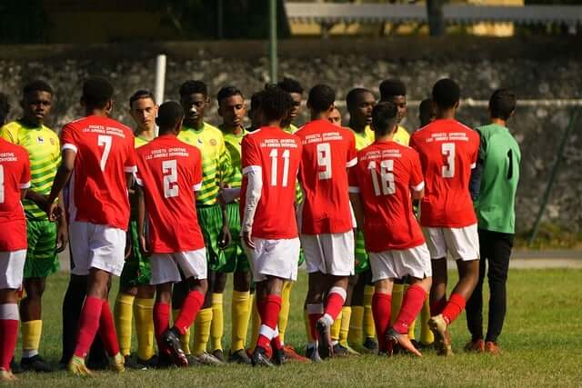 사회적 취미활동 팀 스포츠