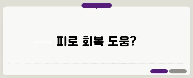 오미자 효능 한번 정확하게 알아보도록 하죠