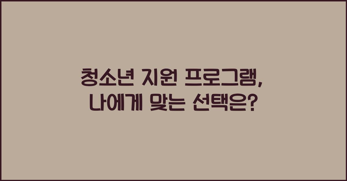 청소년 지원 프로그램