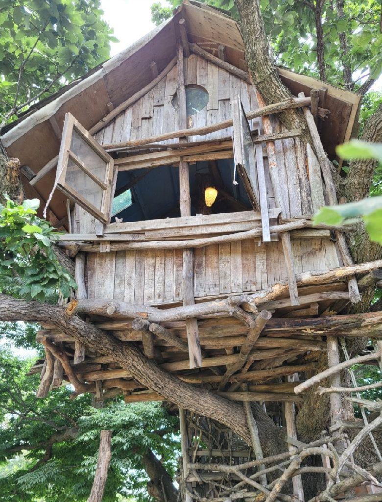 미즈노씨네 트리하우스 카페