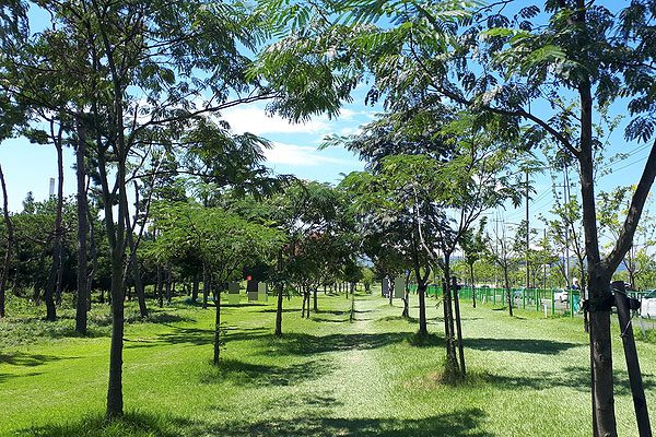 대구 달성군 구지파크골프장 (구지1호근린공원) 소개