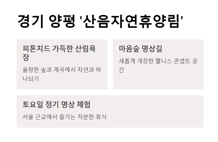 “혼자여도 괜찮다”… 쉼과 치유를 위한 웰니스 여행 추천지