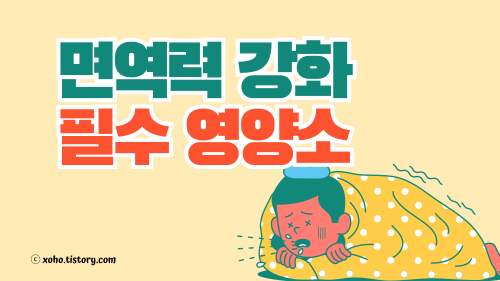 면역력 강화 필수 영양소