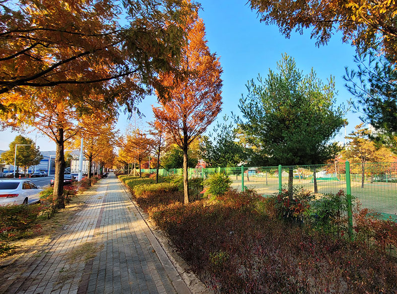 대구 달성군 세천공단파크골프장 소개