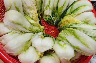 배추 물기 빼는 방법