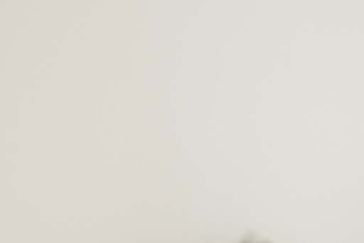 경력 단절 여성