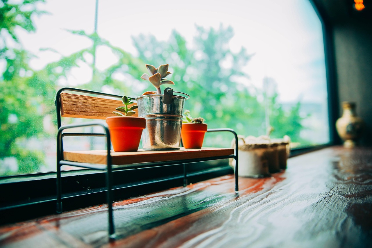 부산 카페 관련 사진