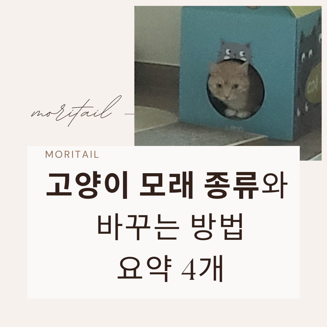 고양이 모래 종류