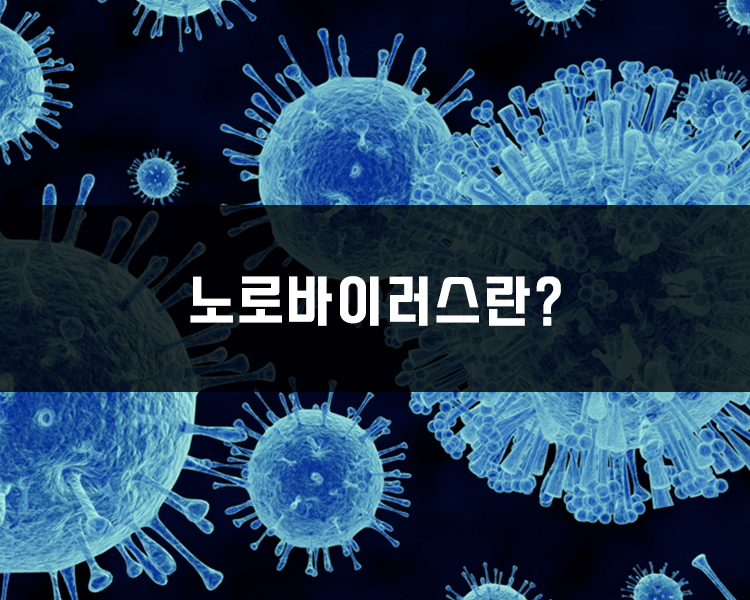 노로바이러스는 사람의 소화기관에 감염을 일으키는 대표적인 바이러스 중 하나입니다.