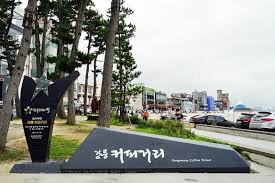 강릉 커피거리 + 테라로사 본점 사진