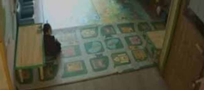 정인이 사건 요약