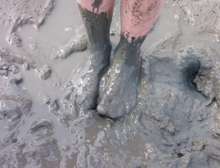 갯벌 체험 사진