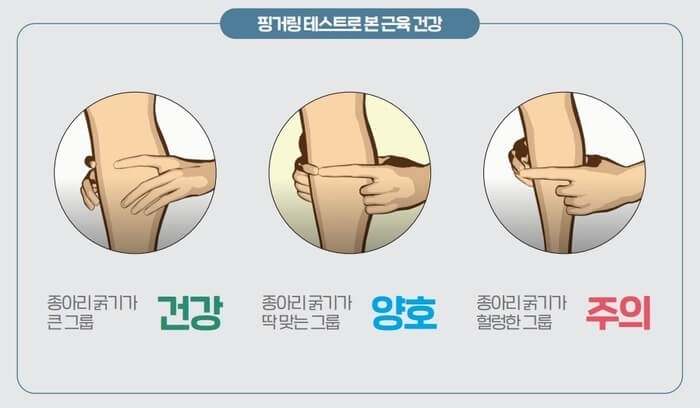 근육량 측정