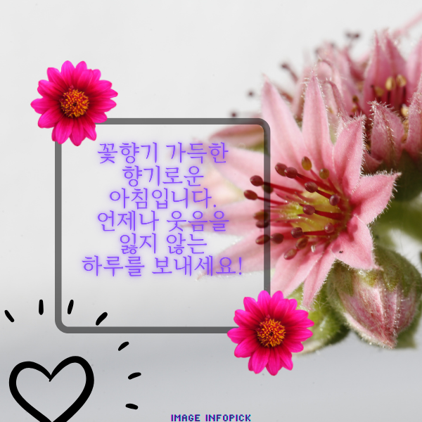 아침 인사로 좋은 글 이미지 아침 인사말 문구 모음