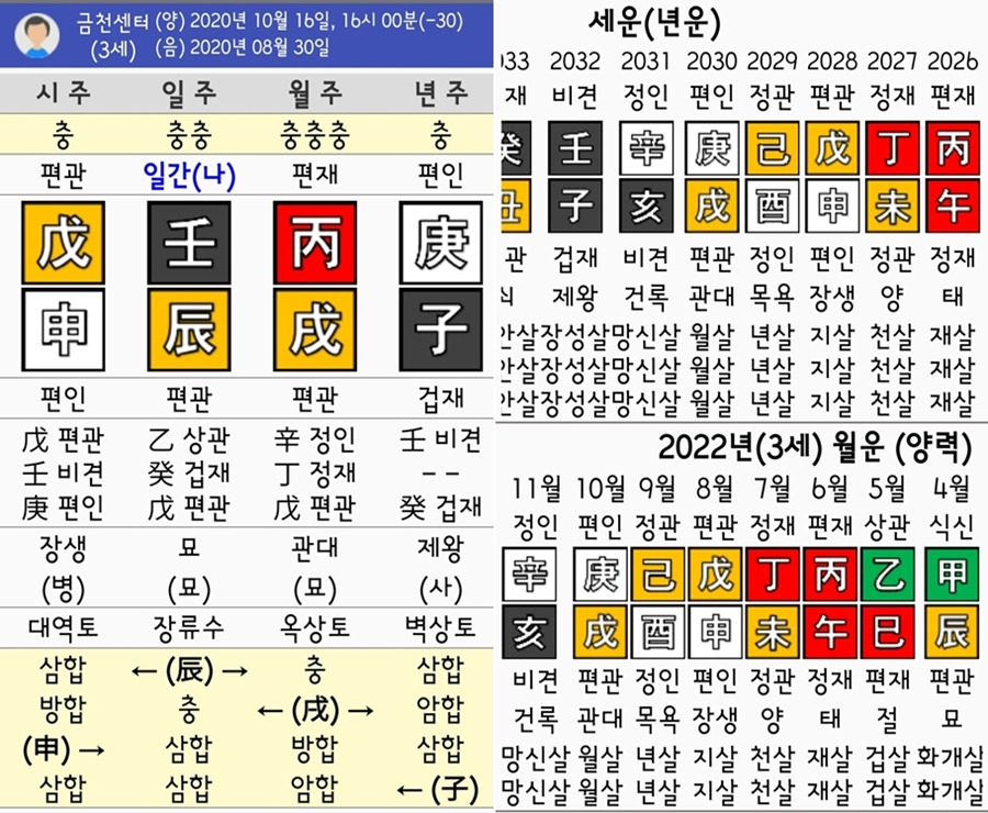 사주팔자 구성과 십신, 12운성 예시도
