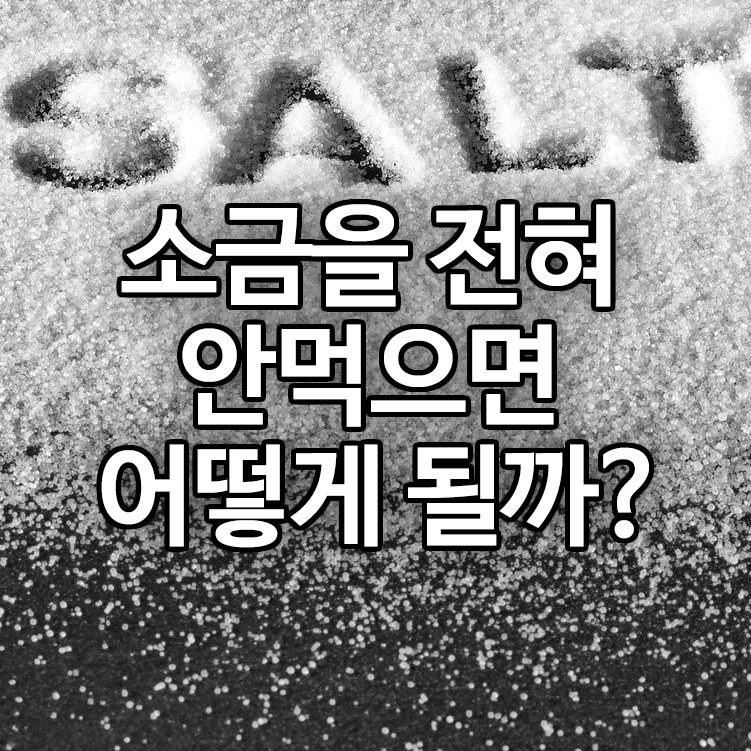 소금을 전혀 안먹으면 어떻게 될까?