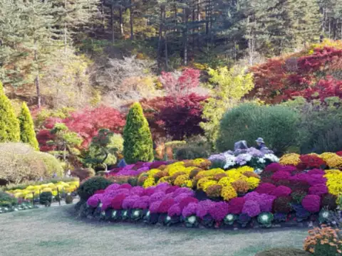 가평가볼만한곳-아침고요수목원