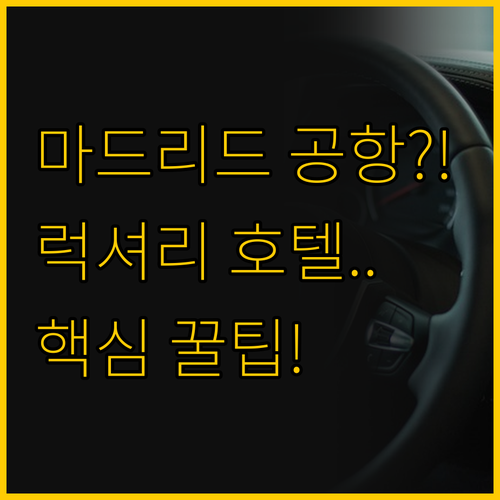 마드리드 여행 목적에 맞춰라 공항 접..