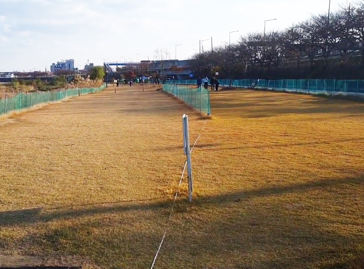 세종시 조치원 조천파크골프장 소개