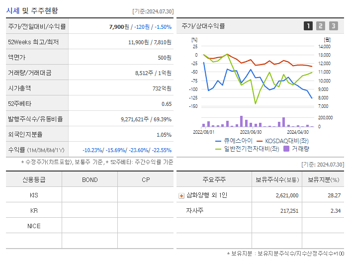 큐에스아이_기업개요