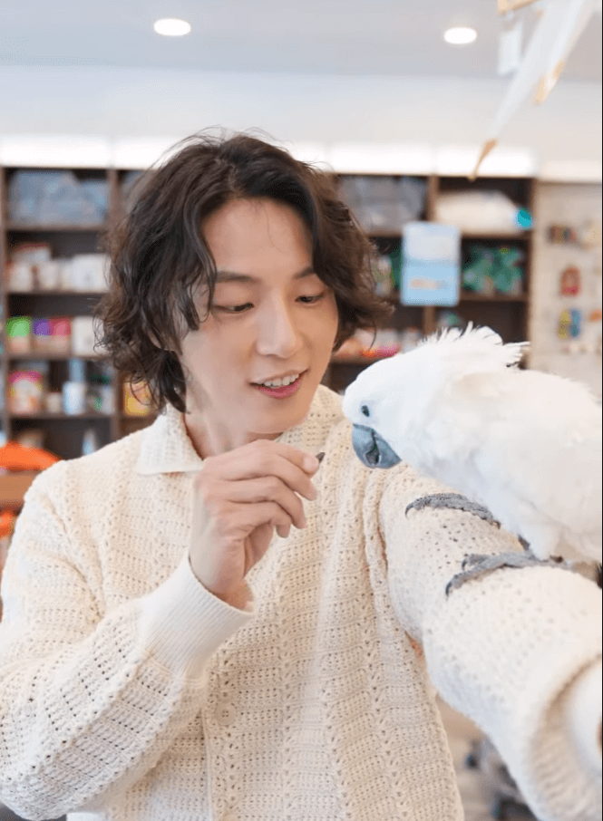 윤시윤