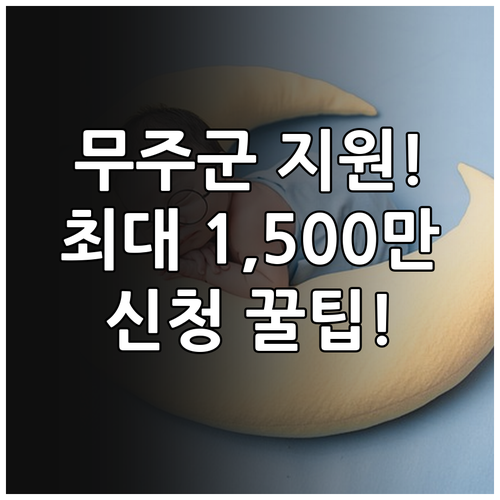 무주군 신생아 출산축하금 지원 금액과..