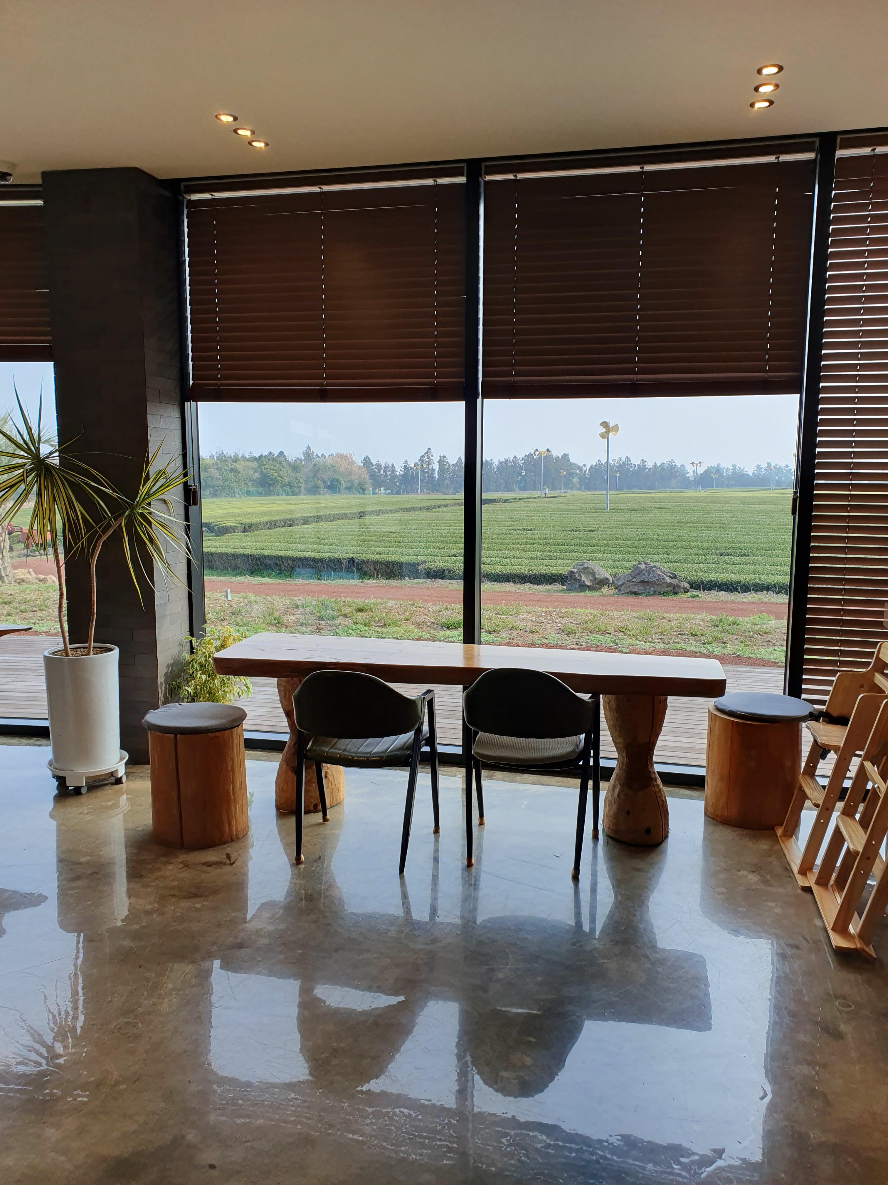 제주 수망다원 카페에서 제일 좋은 자리