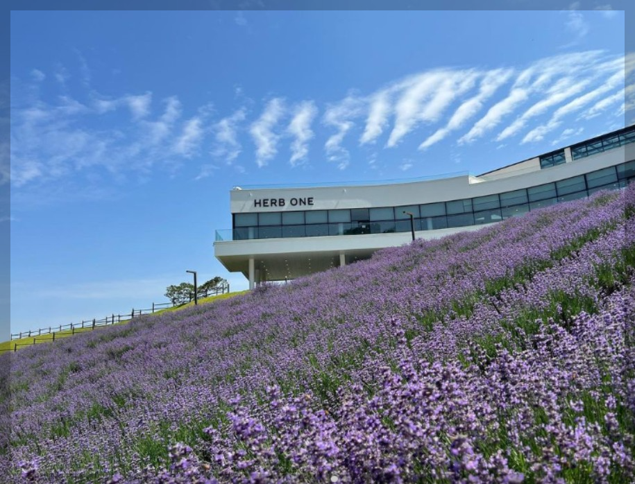 6월 국내 여행지 추천