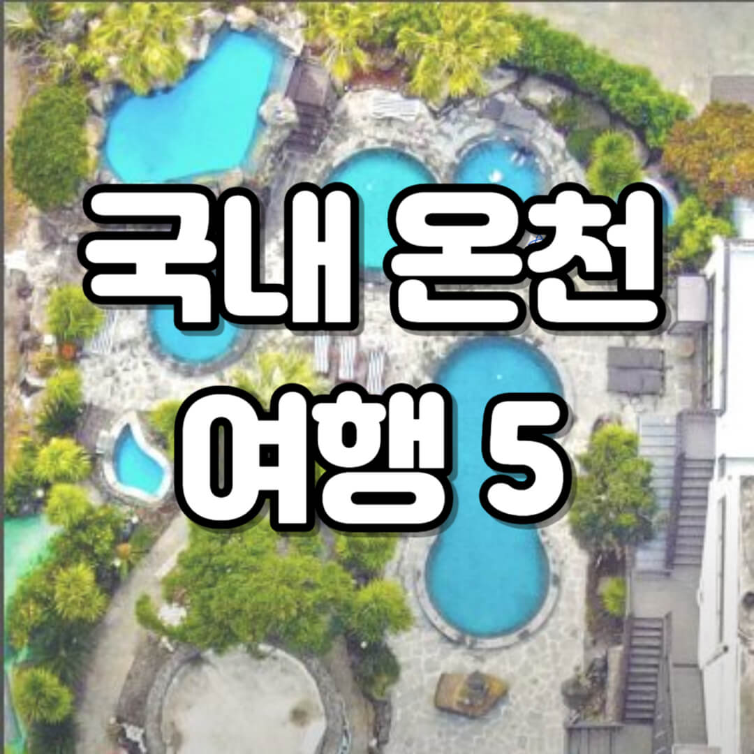 국내 온천 여행