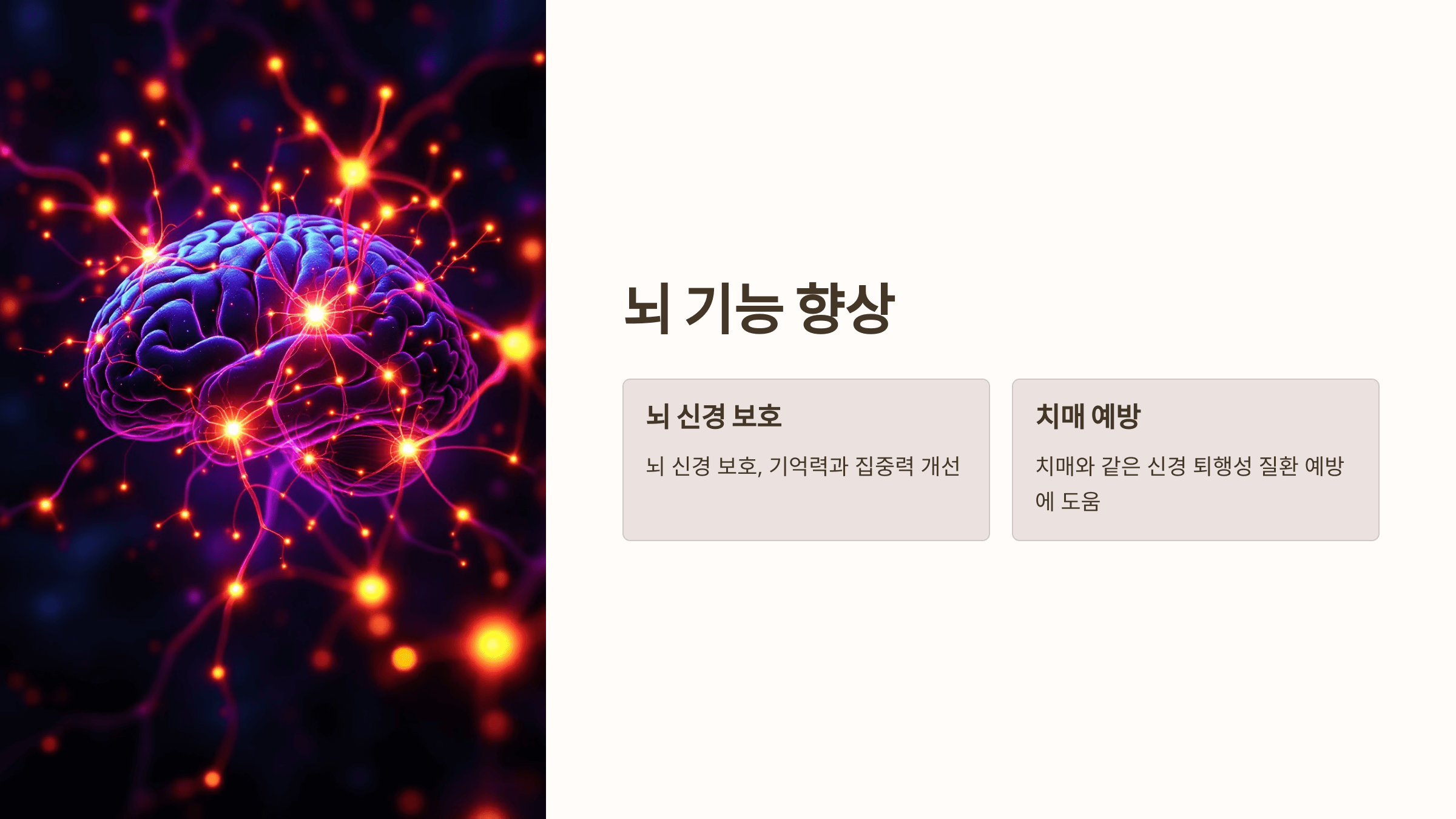 오미자 사진입니다.