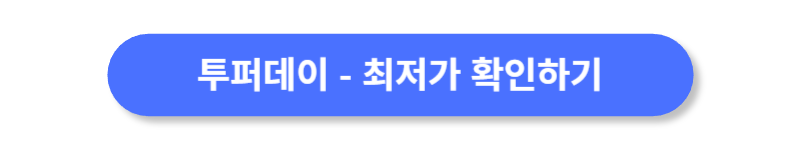 버튼