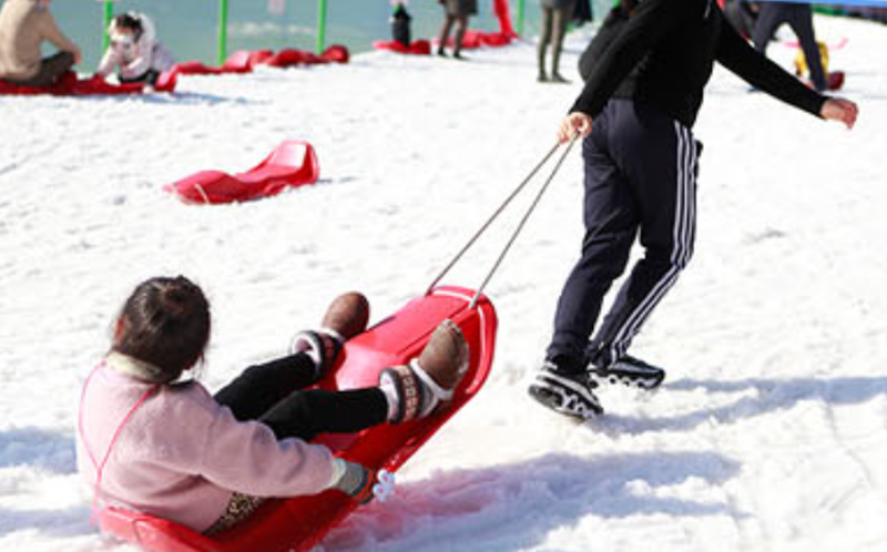 서울랜드 눈썰매장