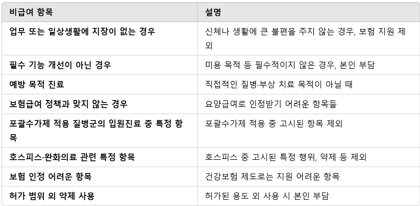 비급여 항목 요약표
