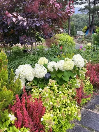 7월 축제 가볼만한 곳 베스트 10 완벽 여행 가이드_12