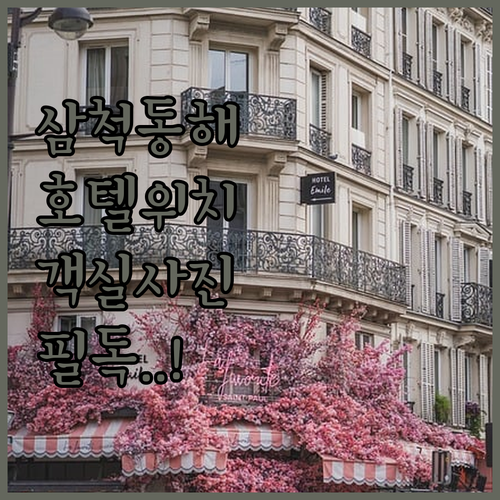 삼척 동해 호텔 예약 전 꼭 확인해야..