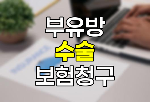 부유방 수술 보험청구, 특약과 필요서류 완벽 정리