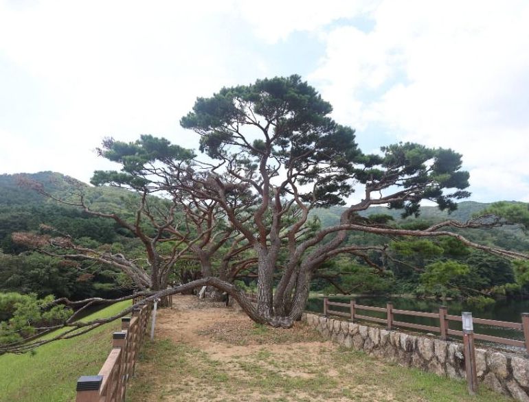 법기수원지