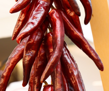 정선 고추로 만드는 이색 레시피 – 강원도 정선의 매운 맛을 담다
