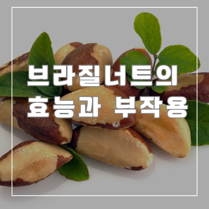 브라질너트의 효능과 부작용
