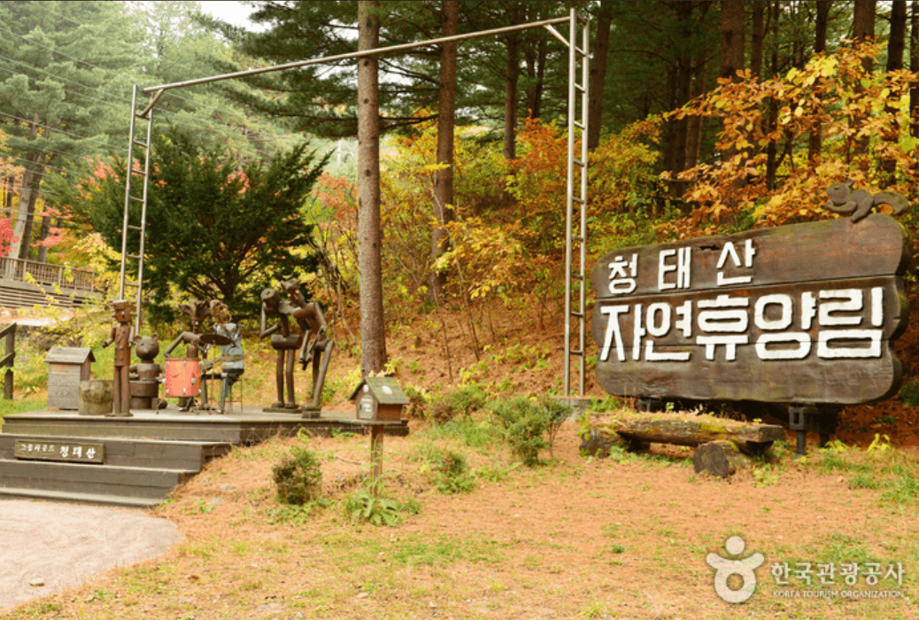 국립 청태산 자연휴양림