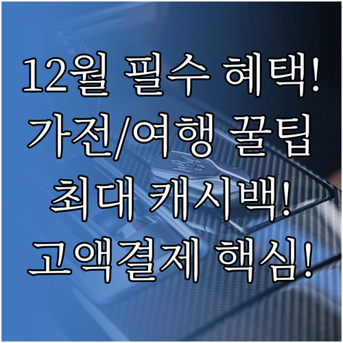 12월 가전 여행 백화점 고액 결제 ..
